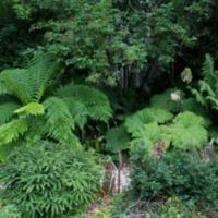 Visite libre du jardin de la Poterie