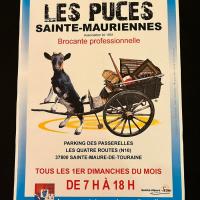 Les puces Sainte Mauriennes