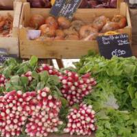 Marché du bourg de Mesquer