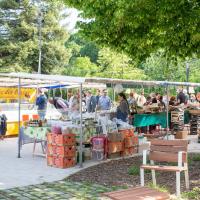 Marché du Port-Marly