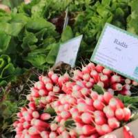MARCHÉ SAMEDI MATIN À NOYEN-SUR-SARTHE
