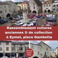 Rassemblement de voitures anciennes et de collection