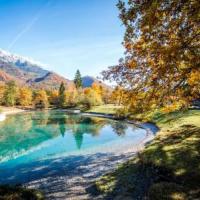 Camping de l'Ecureuil