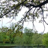 Camping La Peyrade