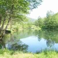 Camping La Marmotte