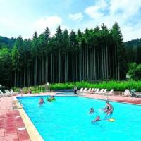 Village Les Fontaines des Vosges