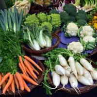 Marché bio le lundi