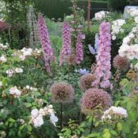 Découvrez le jardin de la Cardonnerie