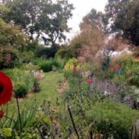 visite jardin d'artistes à Saint Sauveur d'Aunis