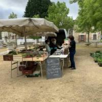 Marché de producteurs