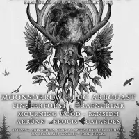 Le Festival Lid ar Morrigan VIII
