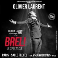 Brel, Le Spectacle