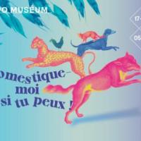 Domestique-moi si tu peux
