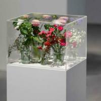 Exposition