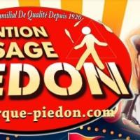 Spectacle du cirque piedon