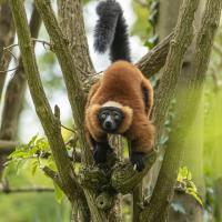 Le week-end des Projets Nature