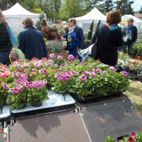 LES  FLORALIES D'ORGEVAL