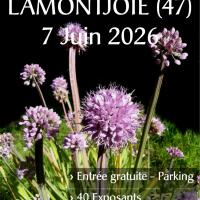 Fête des plantes rares