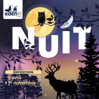 Exposition temporaire : NUIT