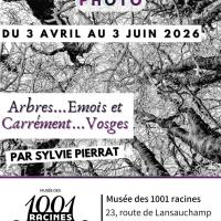 Exposition "Arbres...Emois et carrément Vosges"