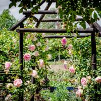 Voyage au jardin d'Eden -Rendez-vous aux jardins