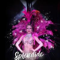 Cabaret Les Soirées du Pin - Revue SPLENDIDE