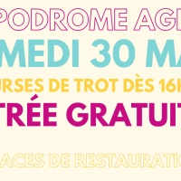Courses hipiques