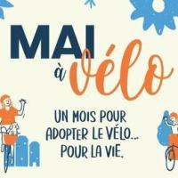 Concours photo