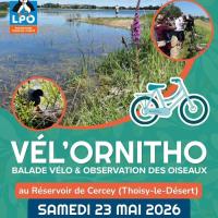 Vél'Ornitho