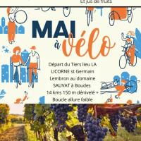 Balade familiale à vélo