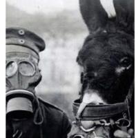 LES ANIMAUX DANS LA GUERRE
