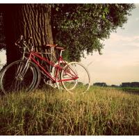 Enquête à deux roues