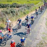 Fête du vélo