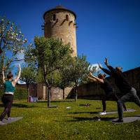 Initiations yoga au musée