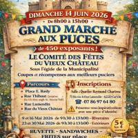 marché aux puces du Vieux Château à Carvin (62)