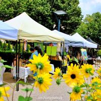 Marché des Savoir-Faire des Festivinales®