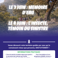 Balades Patrimoniales en Sainte Baume
