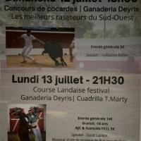 Course landaise - festival