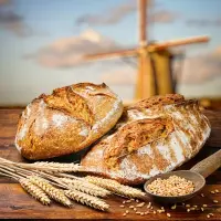 Boulangerie O FOURNIL DU MARCHÉ