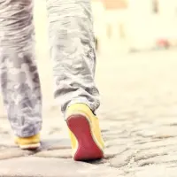 Visite guidée de l'Eglise Notre-Dame