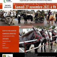 foire aux poulains