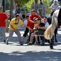 Fête Votive des Paluds de Noves