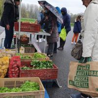 Marché de producteurs