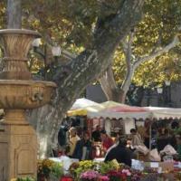Marché Provençal - tous les vendredis
