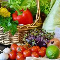 MARCHÉ DE PRODUCTEURS LOCAUX Samedi