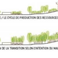 La fabrique de la forêt urbaine - ANIMA