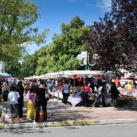 Marché de Narbonne