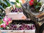 Marché tous les vendredis matins
