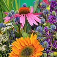 Le Marché aux Fleurs & Senteurs