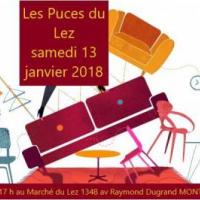 Les Puces du Lez